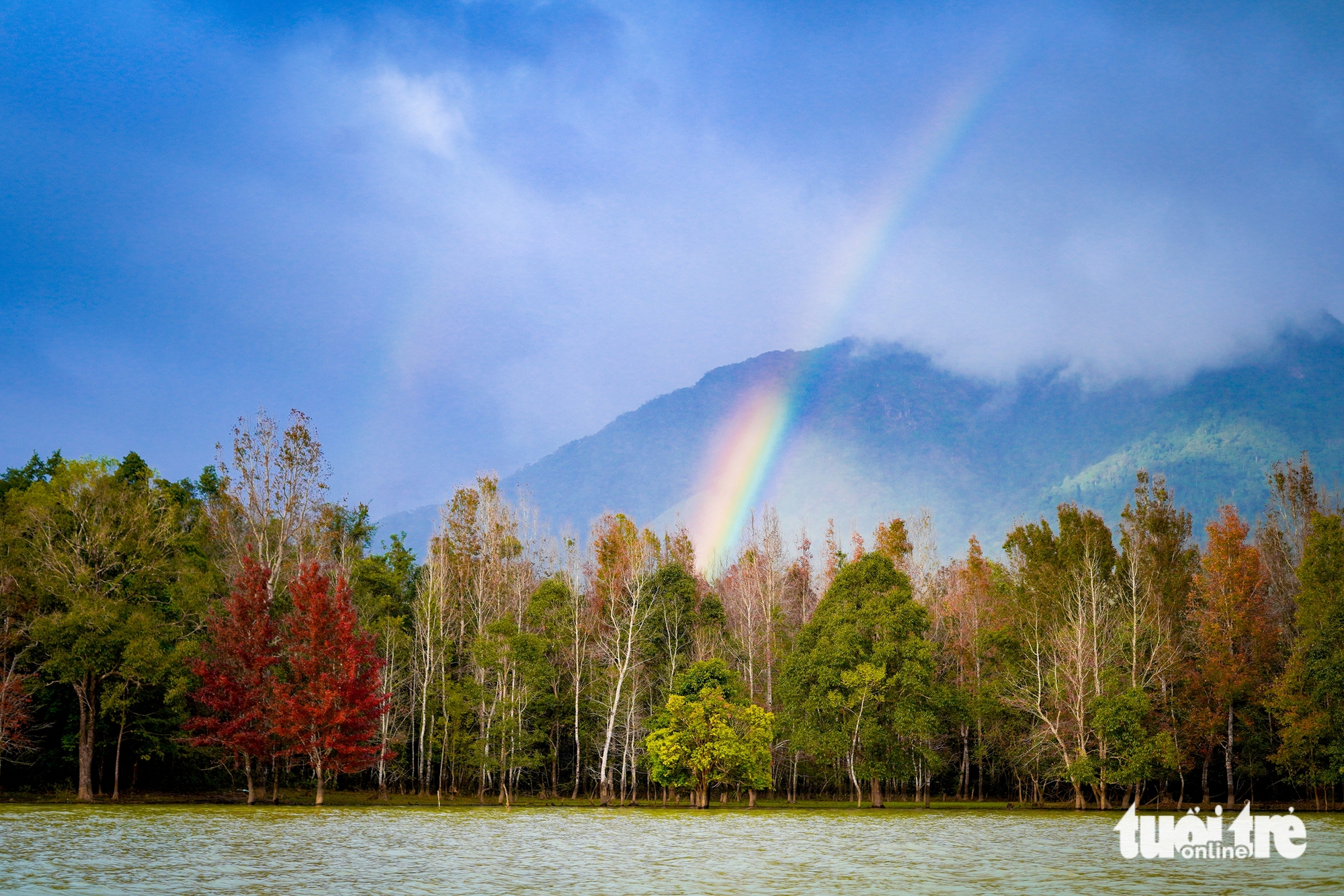 phong hương - Ảnh 3.