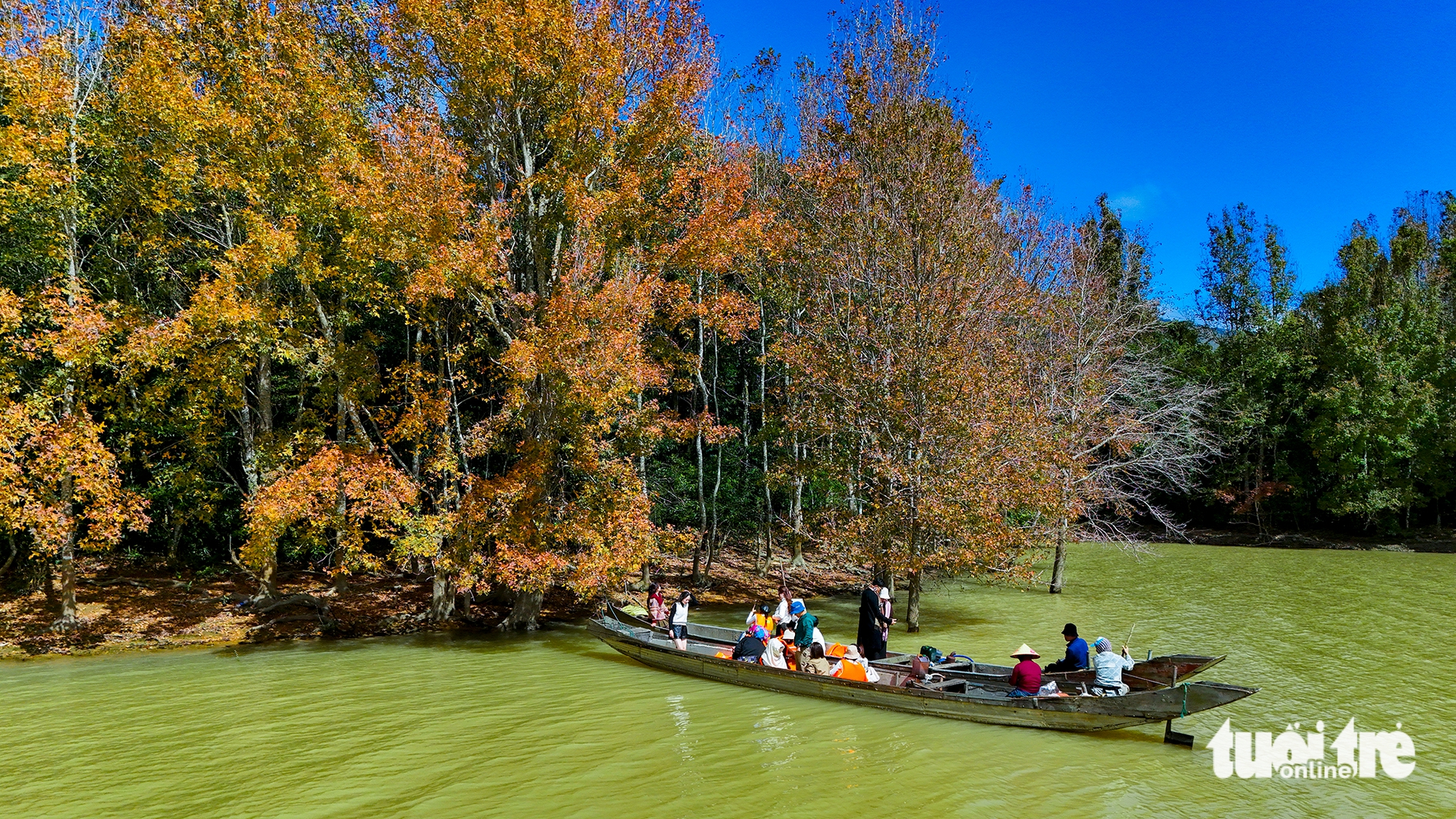 phong hương - Ảnh 4.