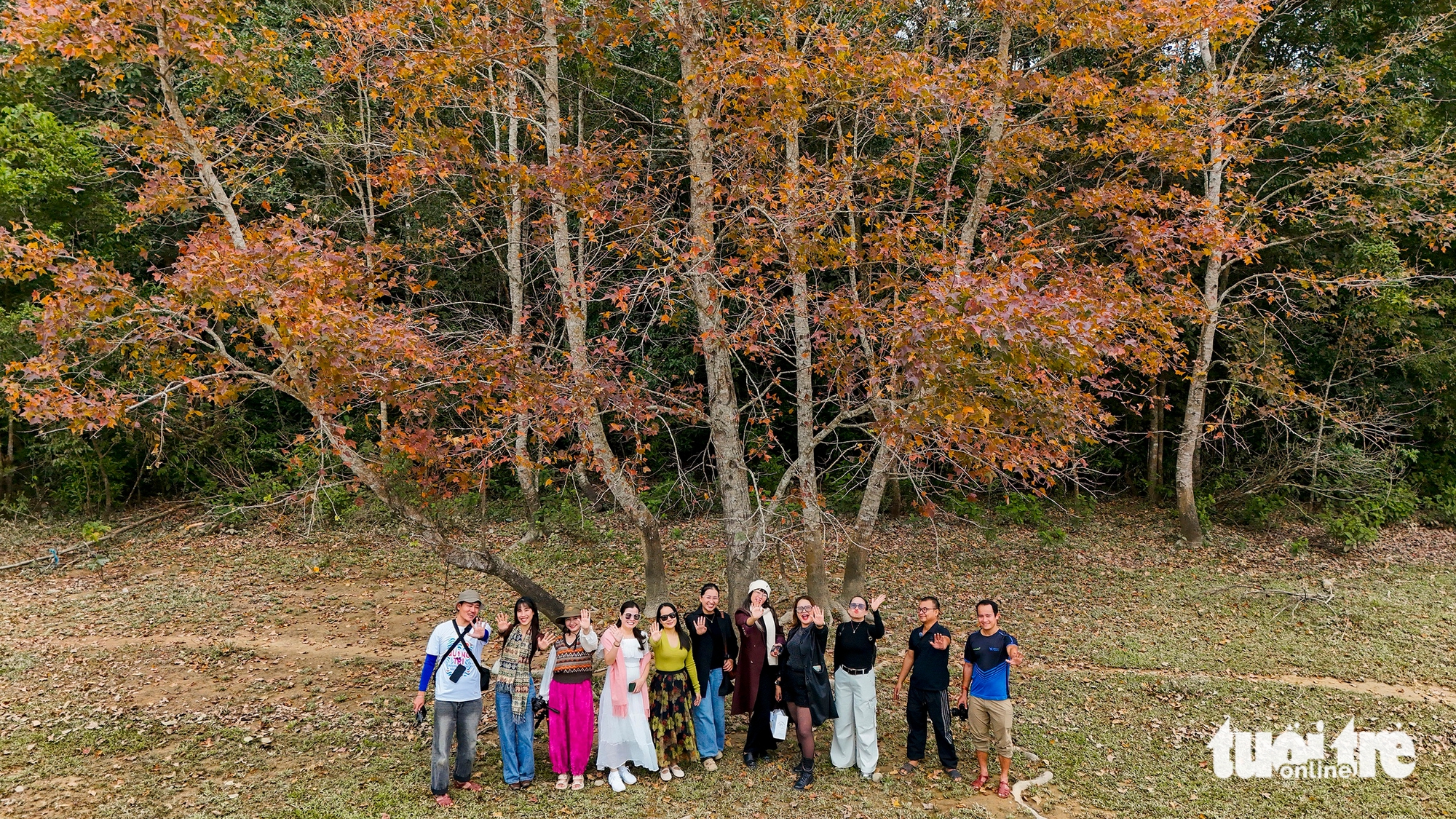 phong hương - Ảnh 5.