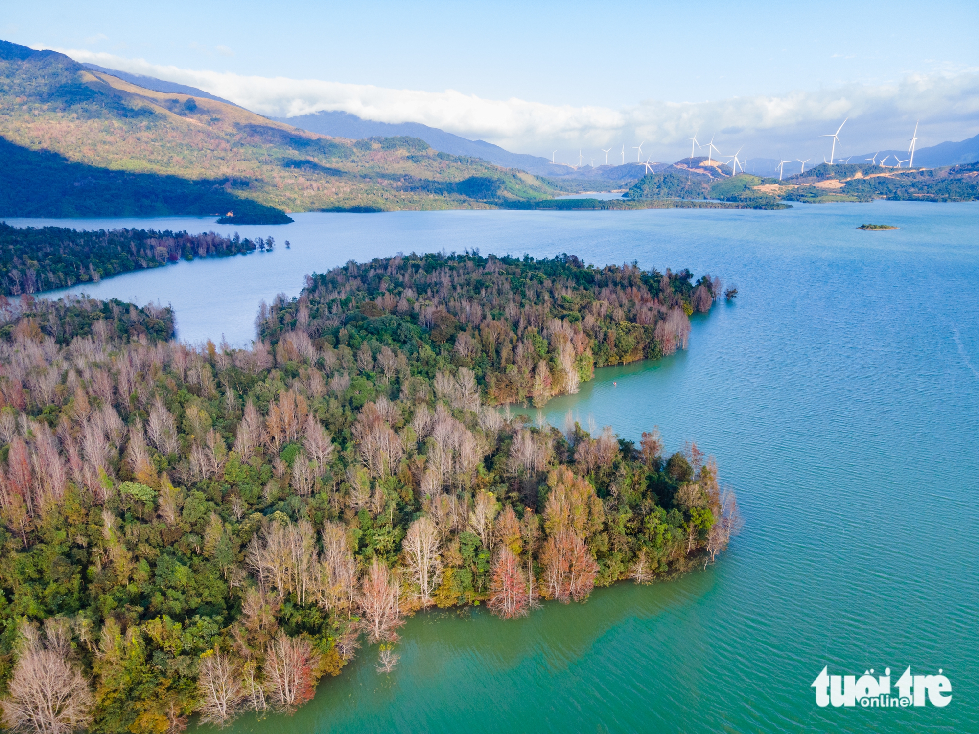 phong hương - Ảnh 8.