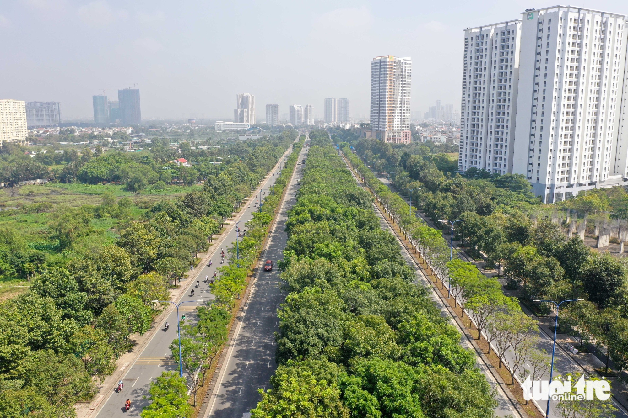 xe đạp - Ảnh 11.