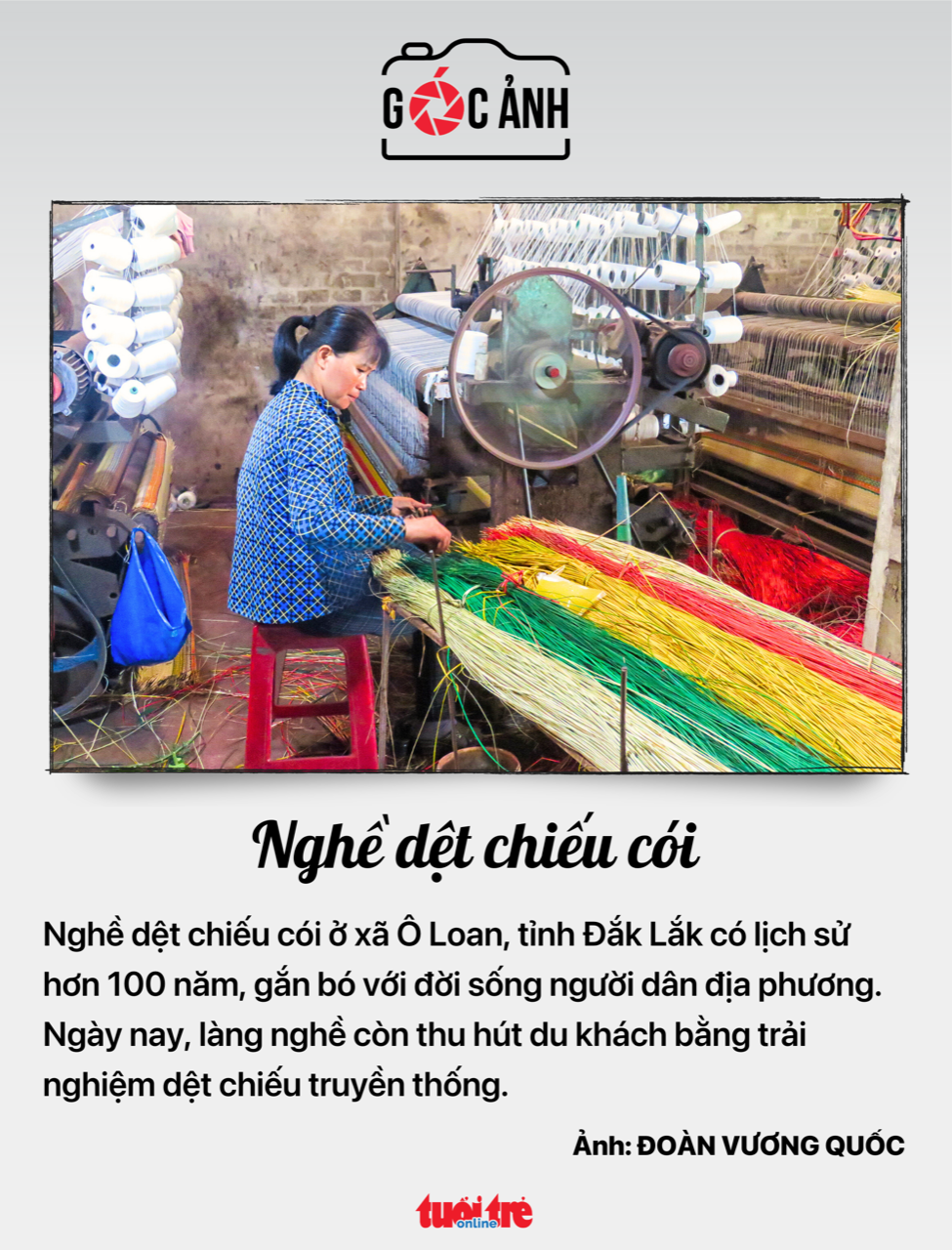 tuổi thọ - Ảnh 5.