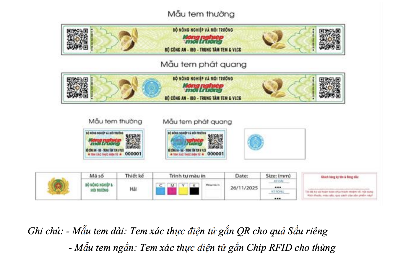 sầu riêng - Ảnh 1.