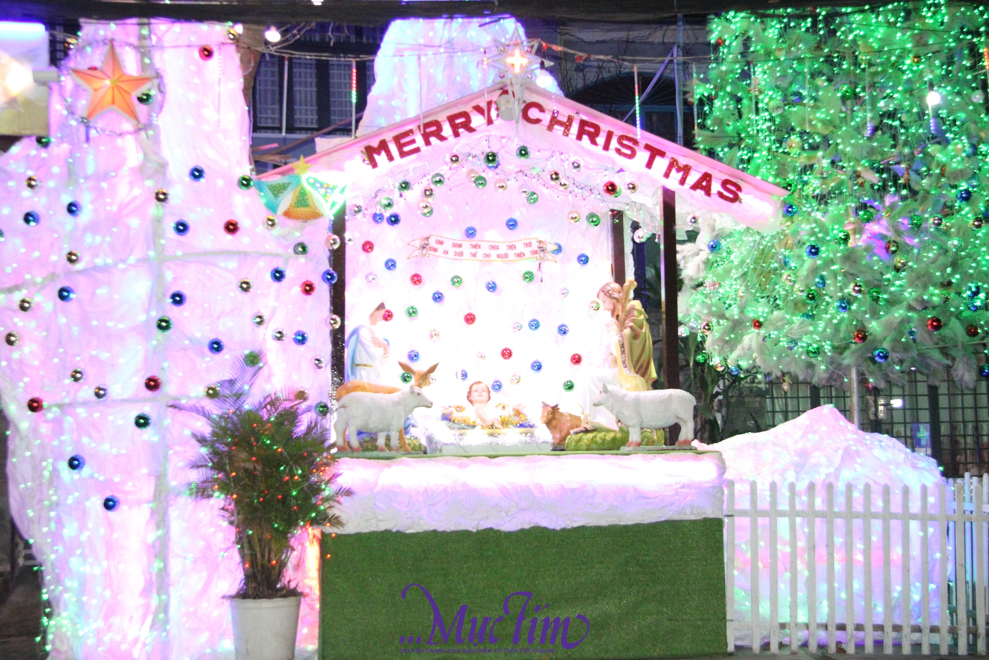 Xóm đạo lớn nhất đường Phạm Thế Hiển nhộn nhịp không khí Giáng sinh - Ảnh 10.