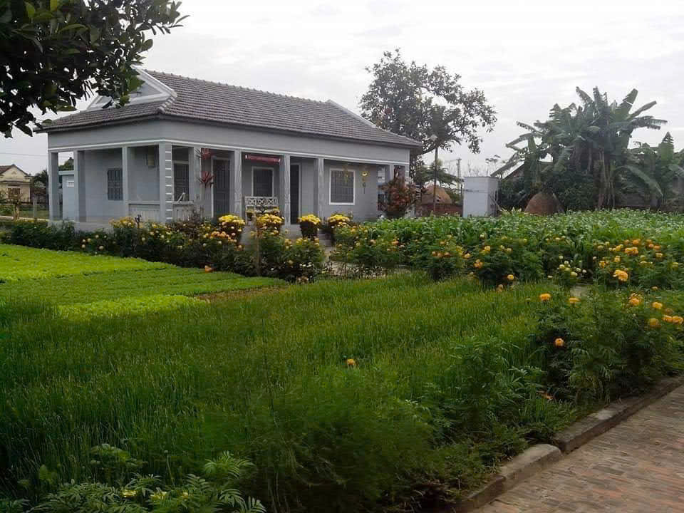 mái ấm - Ảnh 1.