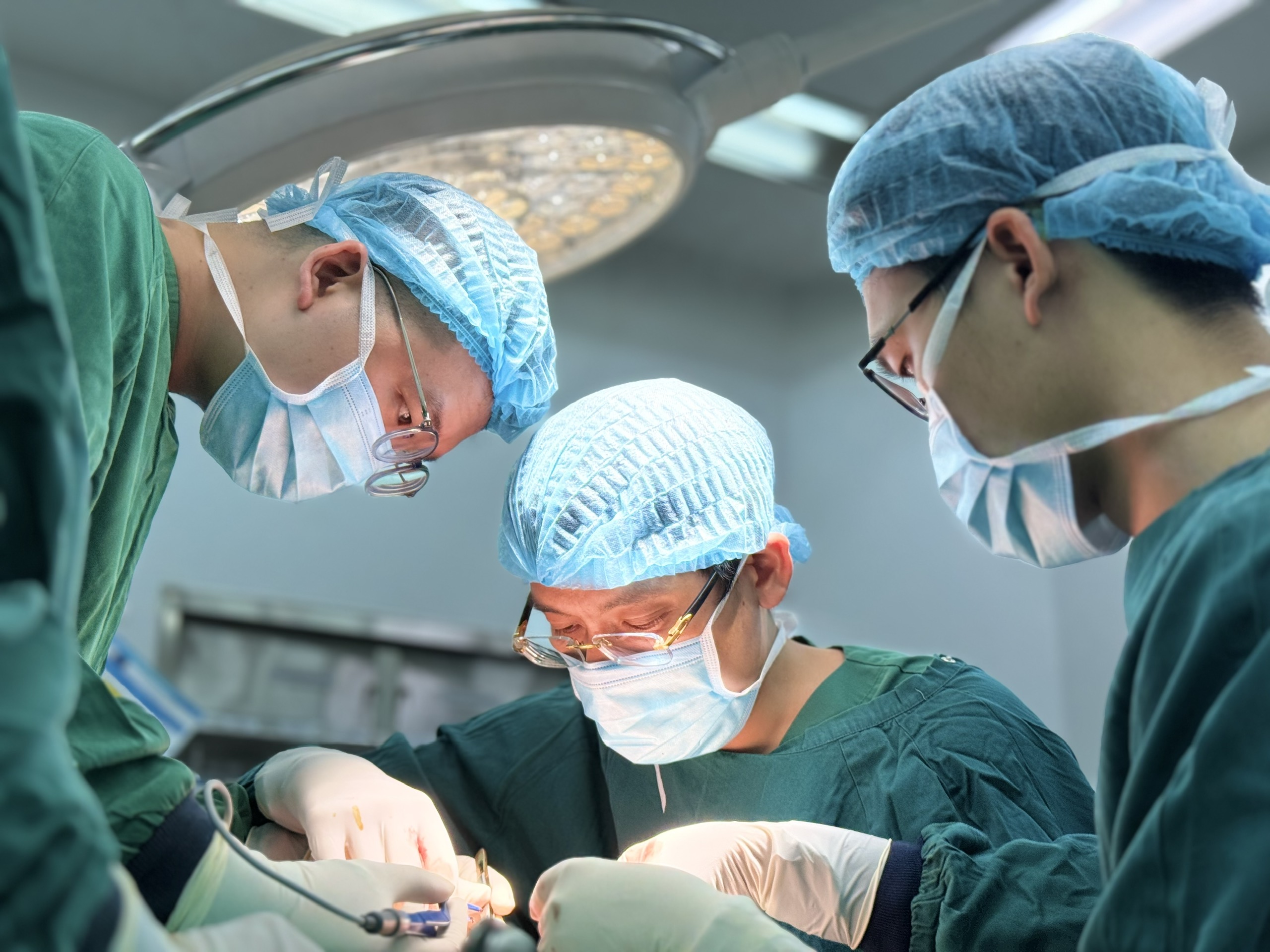 vi phẫu - Ảnh 1.