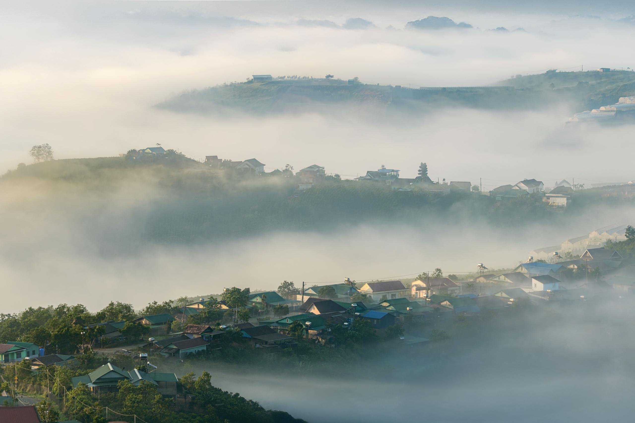 Tuyến cao tốc xuyên rừng khởi công: TP.HCM đi Đà Lạt còn 3 giờ - Ảnh 4. cao tốc xuyên rừng - Ảnh 4.