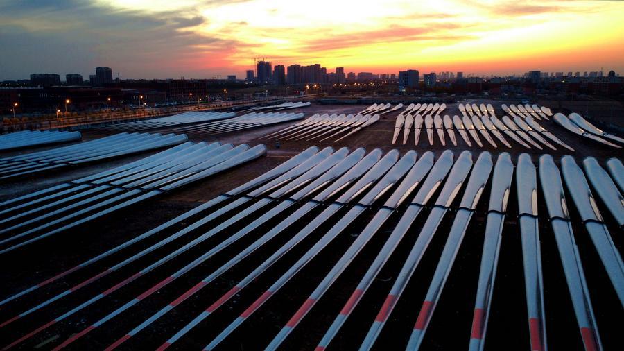 7 thành tựu khoa học truyền cảm hứng năm 2025 - Ảnh 1.