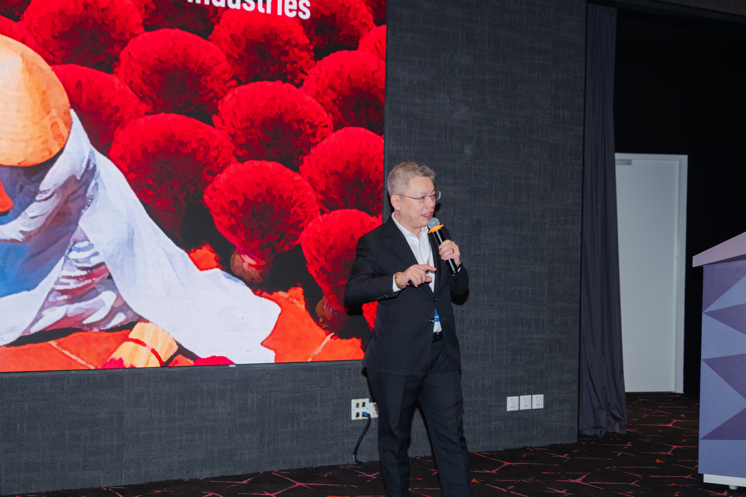 câu chuyện Việt Nam - Ảnh 2.