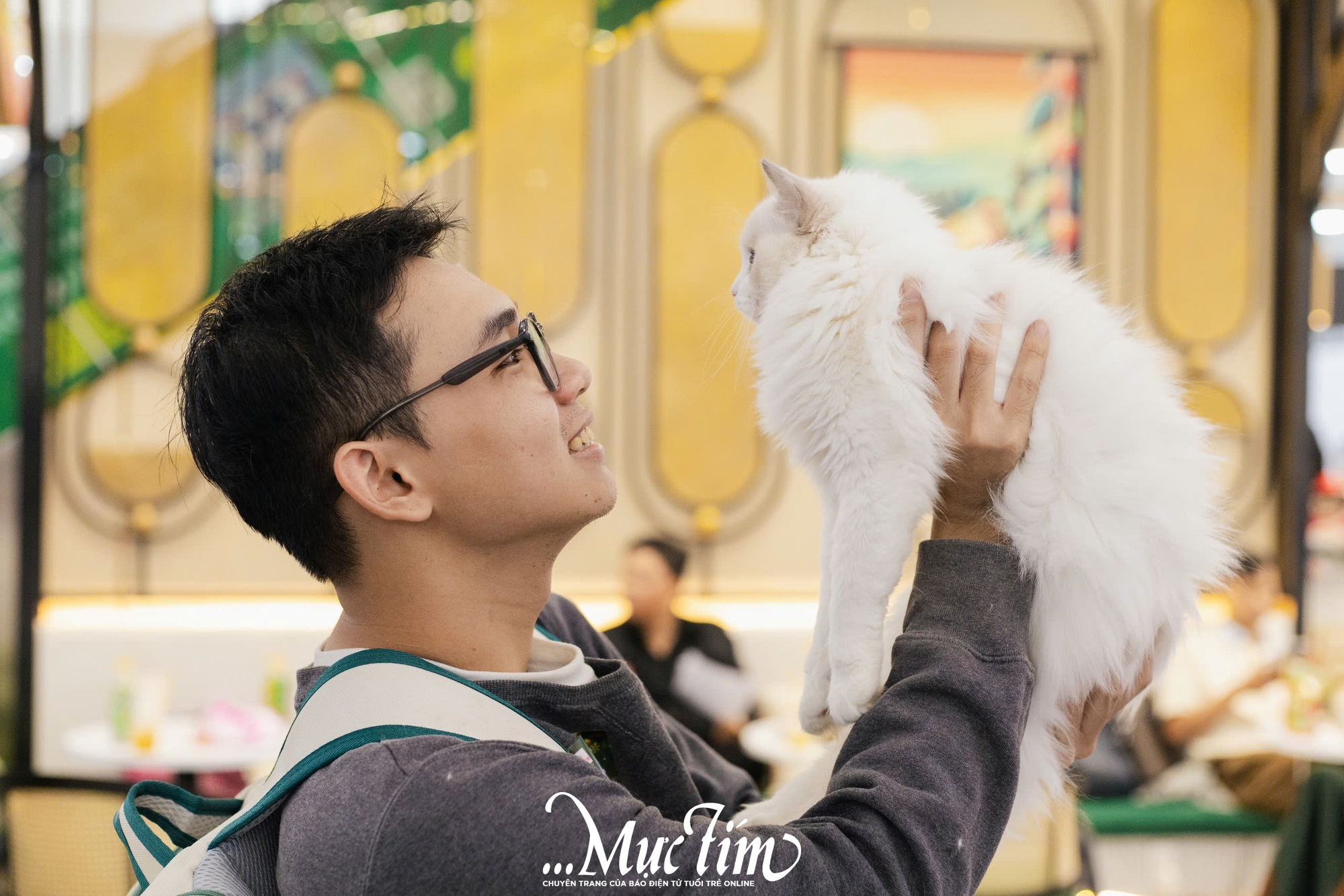 Mèo ta, mèo Tây cùng khoe sắc tại Lễ hội Giáng sinh thú cưng 2025 - Ảnh 5.