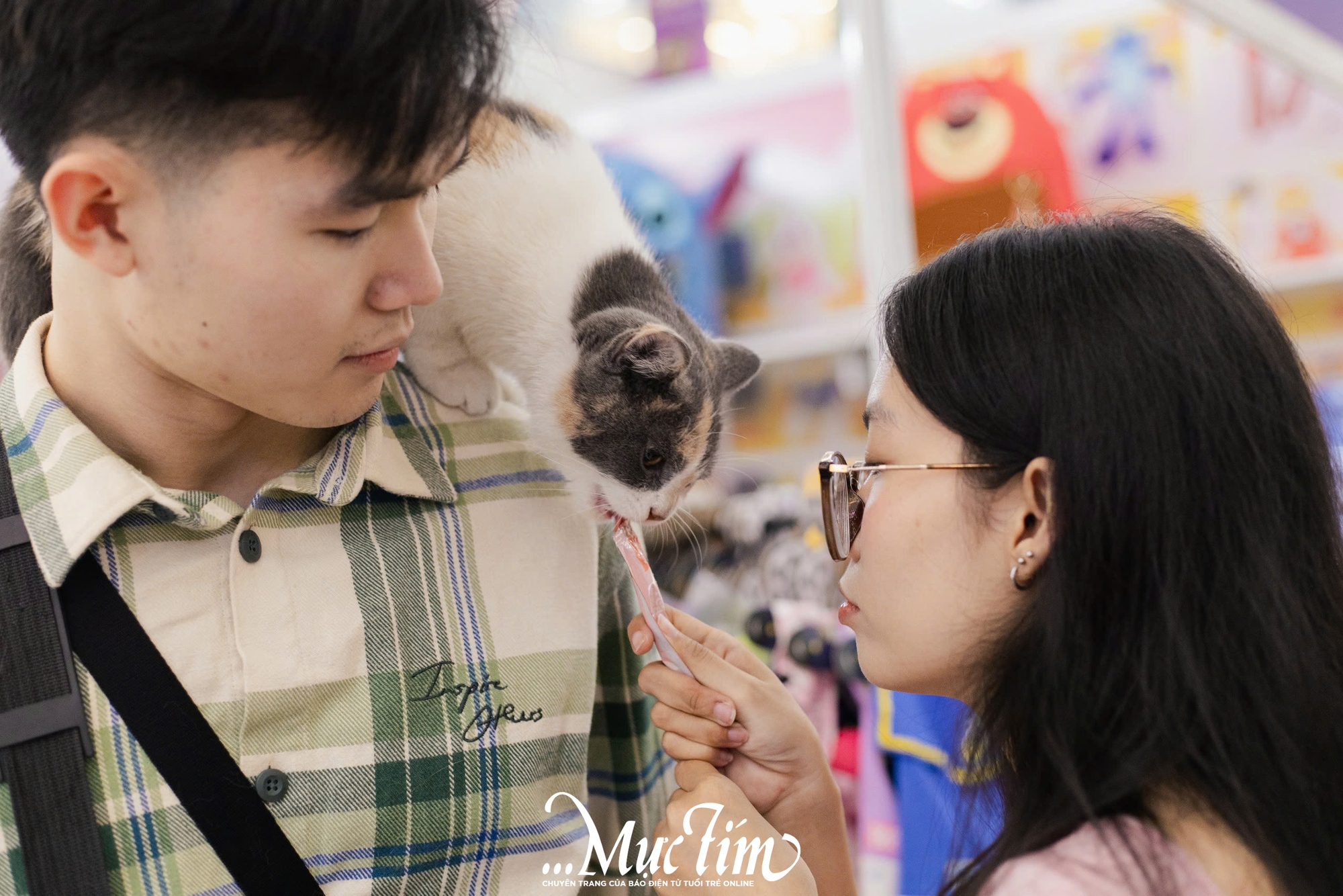 Mèo ta, mèo Tây cùng khoe sắc tại Lễ hội Giáng sinh thú cưng 2025 - Ảnh 6.