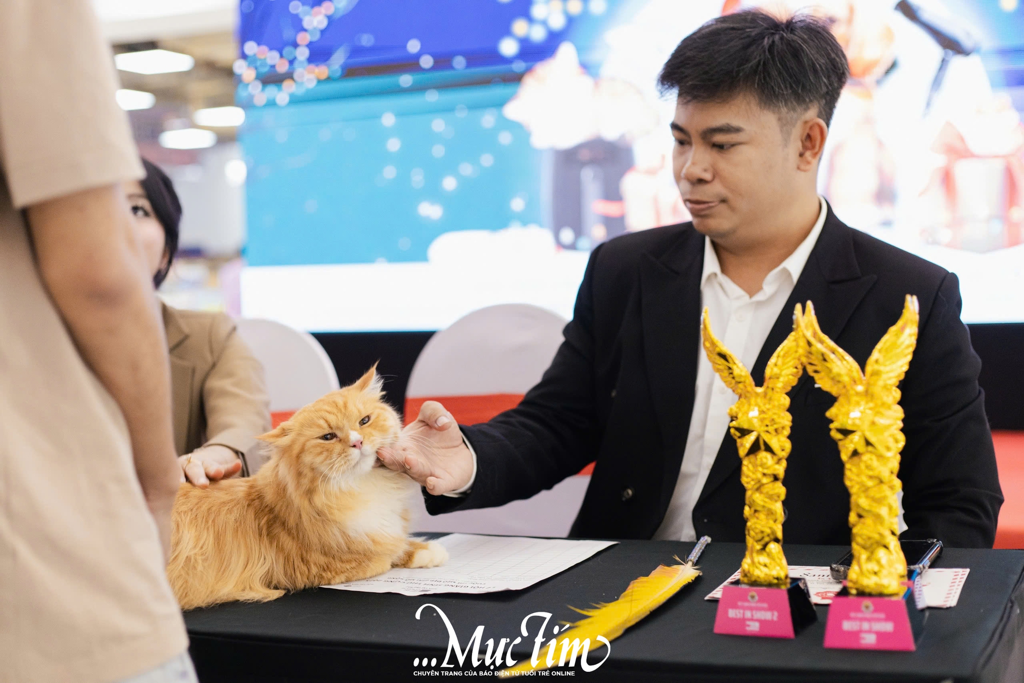 Mèo ta, mèo Tây cùng khoe sắc tại Lễ hội Giáng sinh thú cưng 2025 - Ảnh 10.