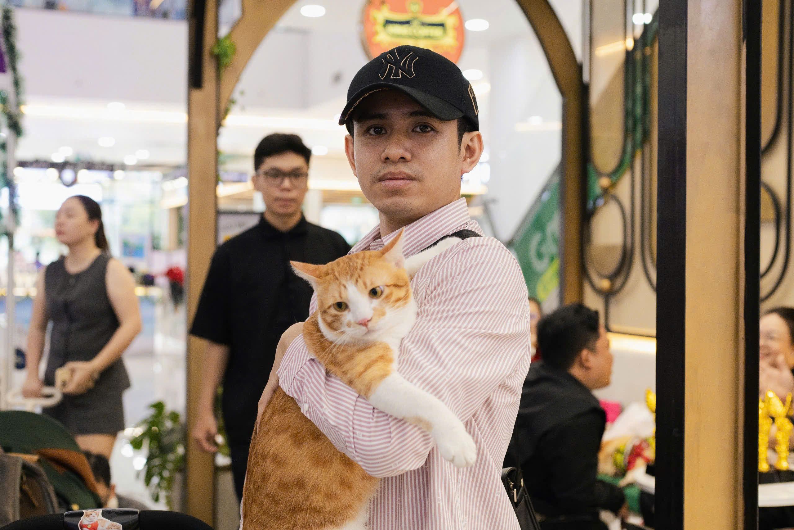 Mèo ta, mèo Tây cùng khoe sắc tại Lễ hội Giáng sinh thú cưng 2025 - Ảnh 21.