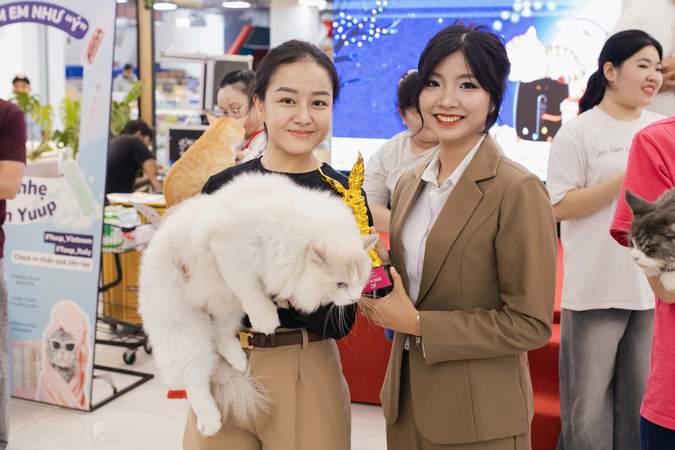 Mèo ta, mèo Tây cùng khoe sắc tại Lễ hội Giáng sinh thú cưng 2025 - Ảnh 27.