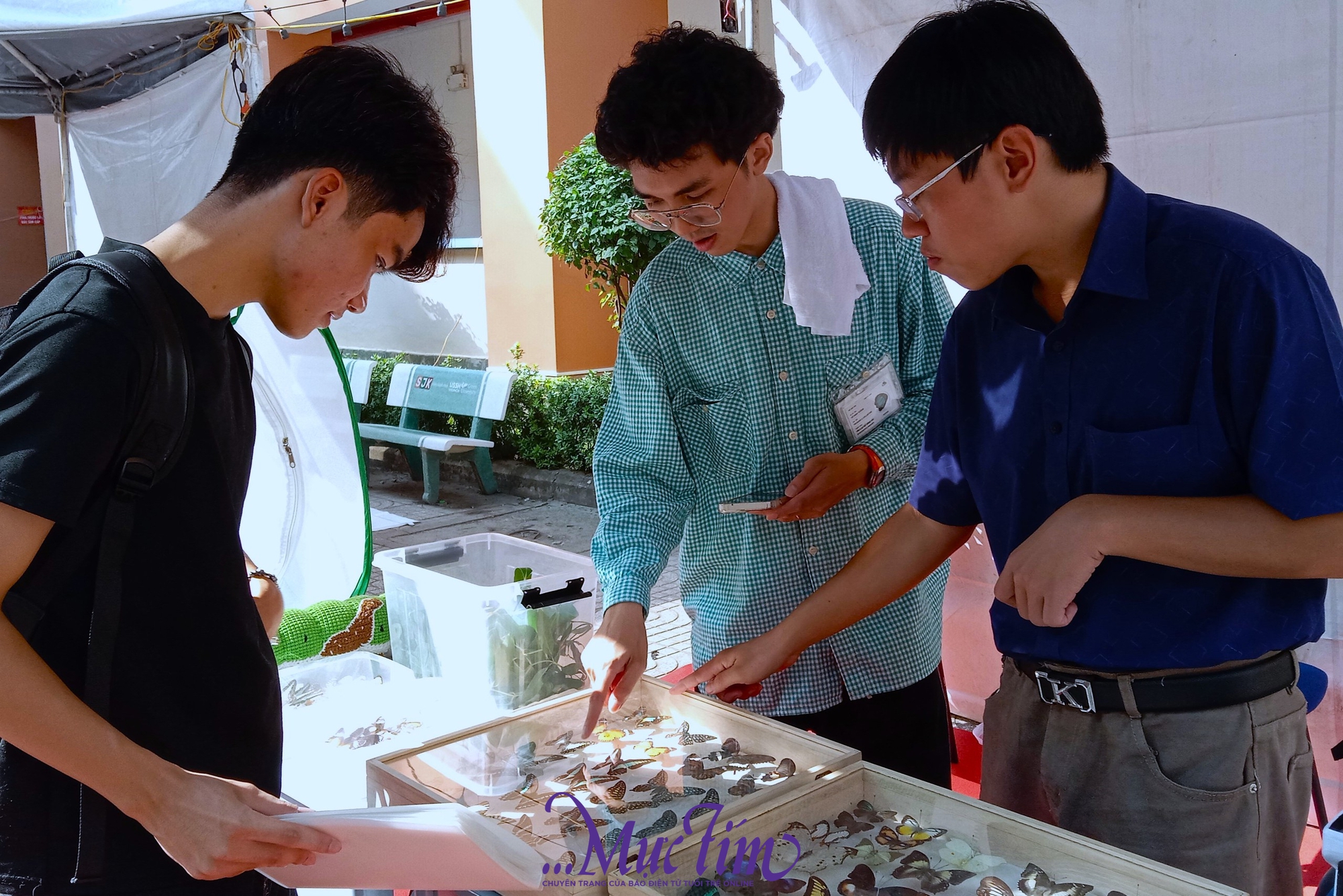 Sinh viên Nhân văn lan tỏa tình yêu nghệ thuật qua ‘Hoa Chào Ngõ Hạnh’ - Ảnh 4.