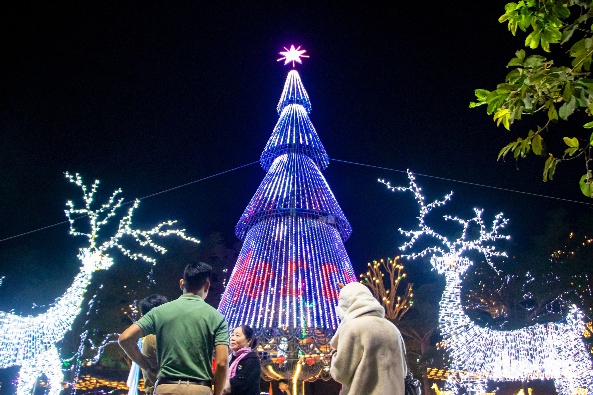 Churches in Da Nang draw crowds as Christmas lights switch on- Ảnh 3.