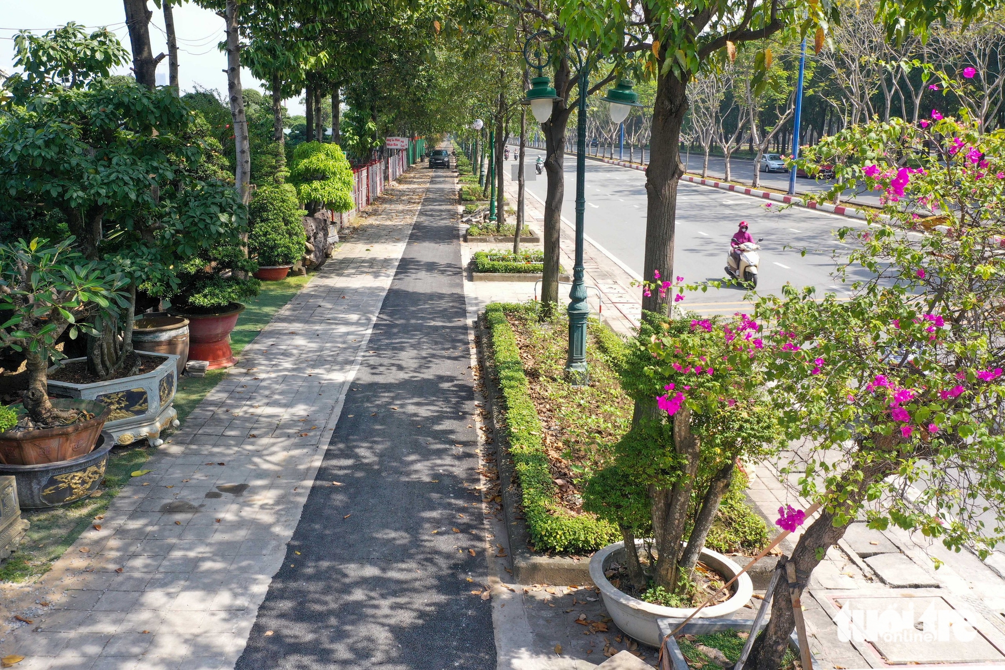 First bicycle lanes take shape in Ho Chi Minh City- Ảnh 1.