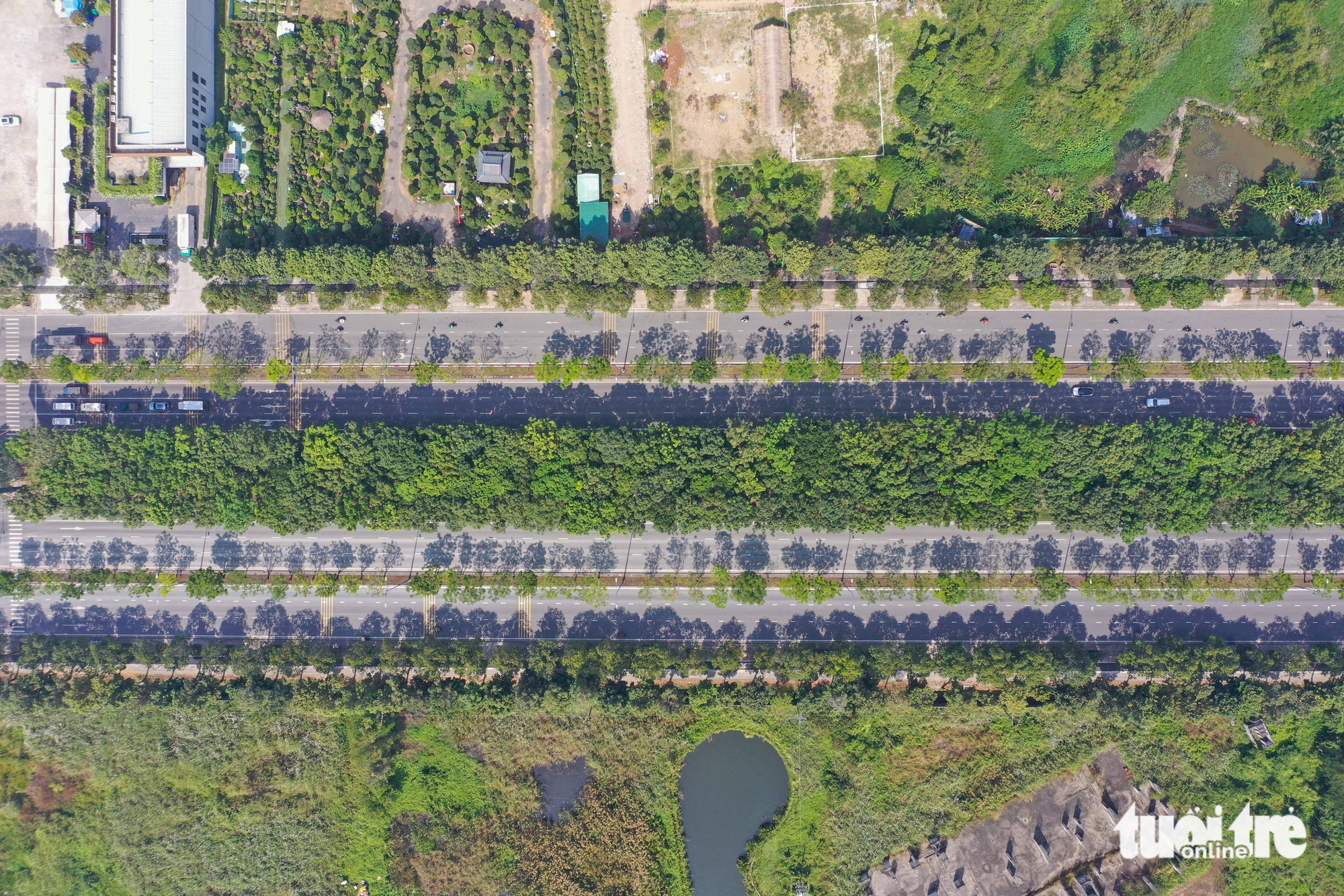 First bicycle lanes take shape in Ho Chi Minh City- Ảnh 2.