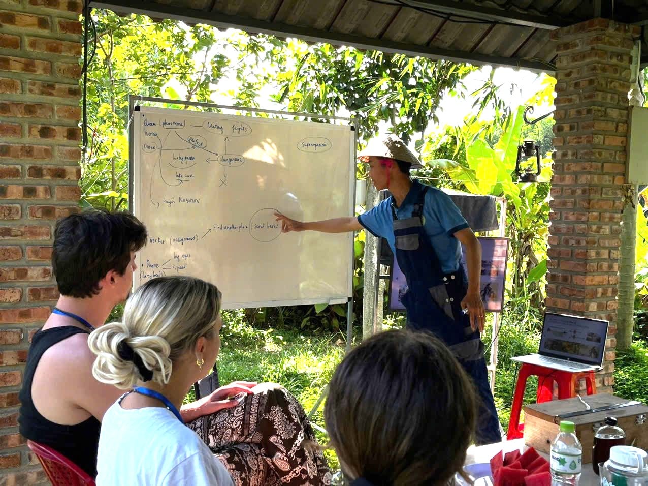 Da Nang man opens farm, offers free English classes for locals to boost community tourism- Ảnh 6.