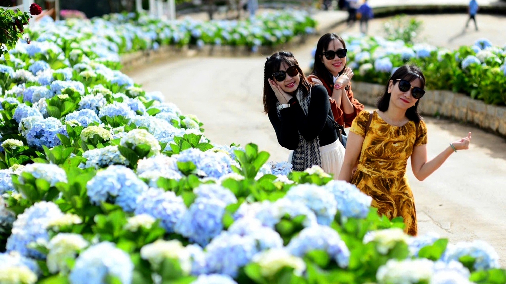 sức khỏe - Ảnh 1.