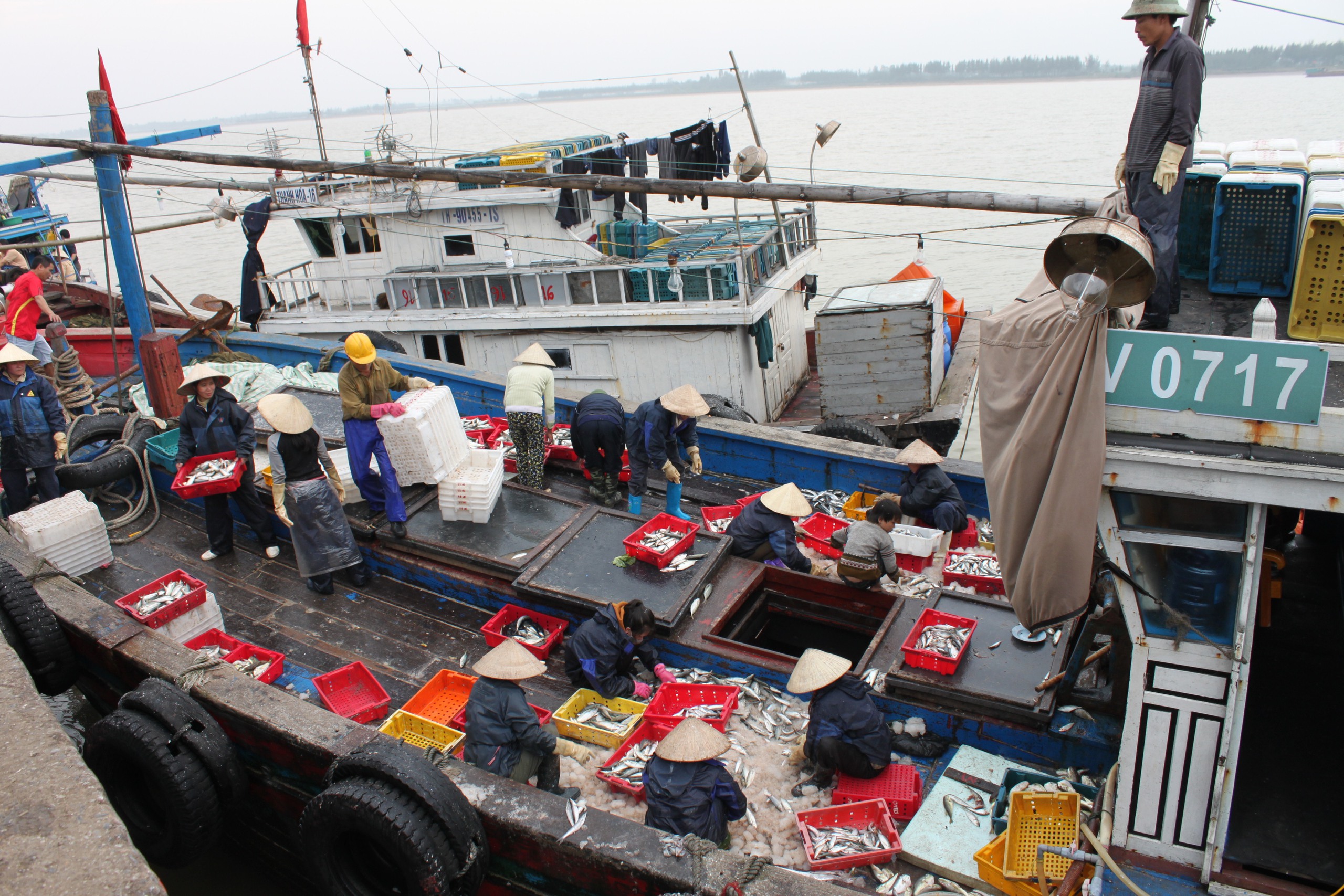 Thanh Hóa hỗ trợ ngư dân lắp đặt thiết bị giám sát hành trình tàu cá - Ảnh 1.