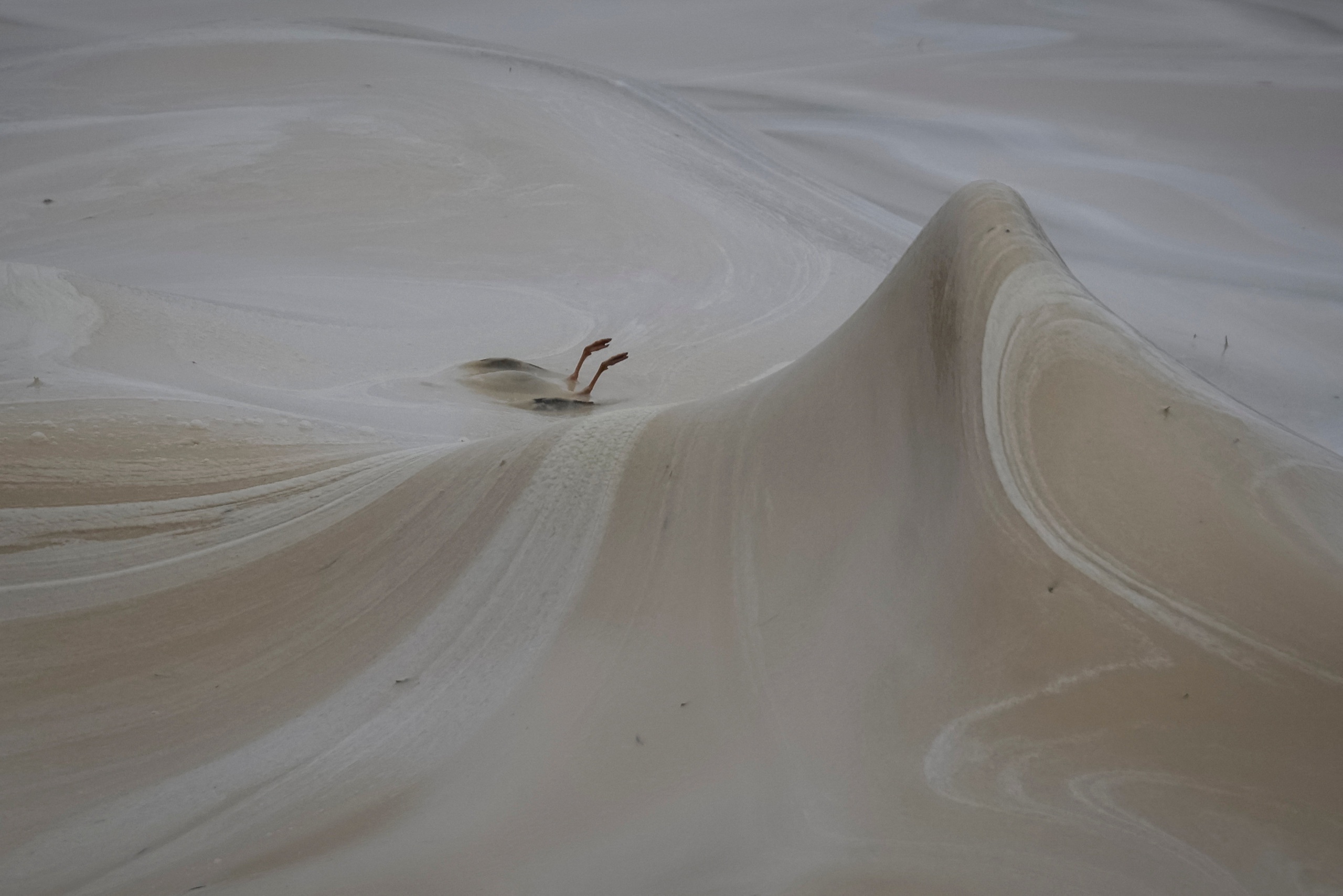 Tràn dầu hướng dương ở Odessa sau không kích, chim chết la liệt dọc bờ biển - Ảnh 3.