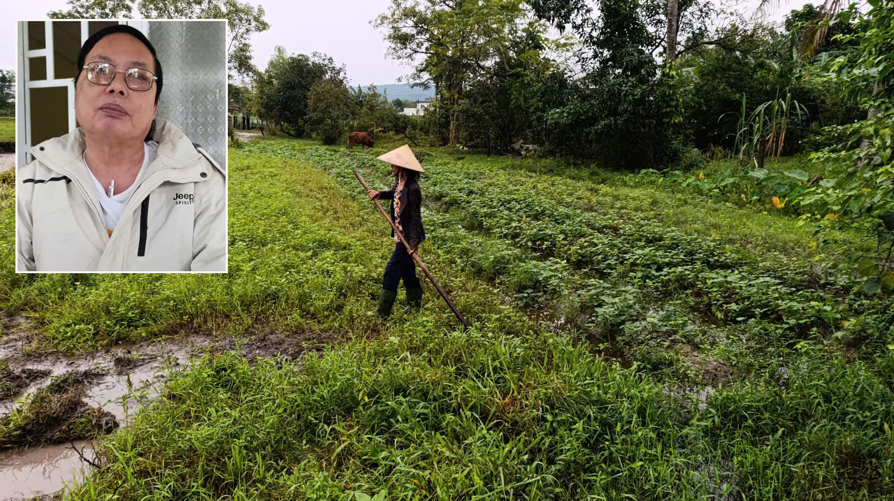 sổ đỏ - Ảnh 1.