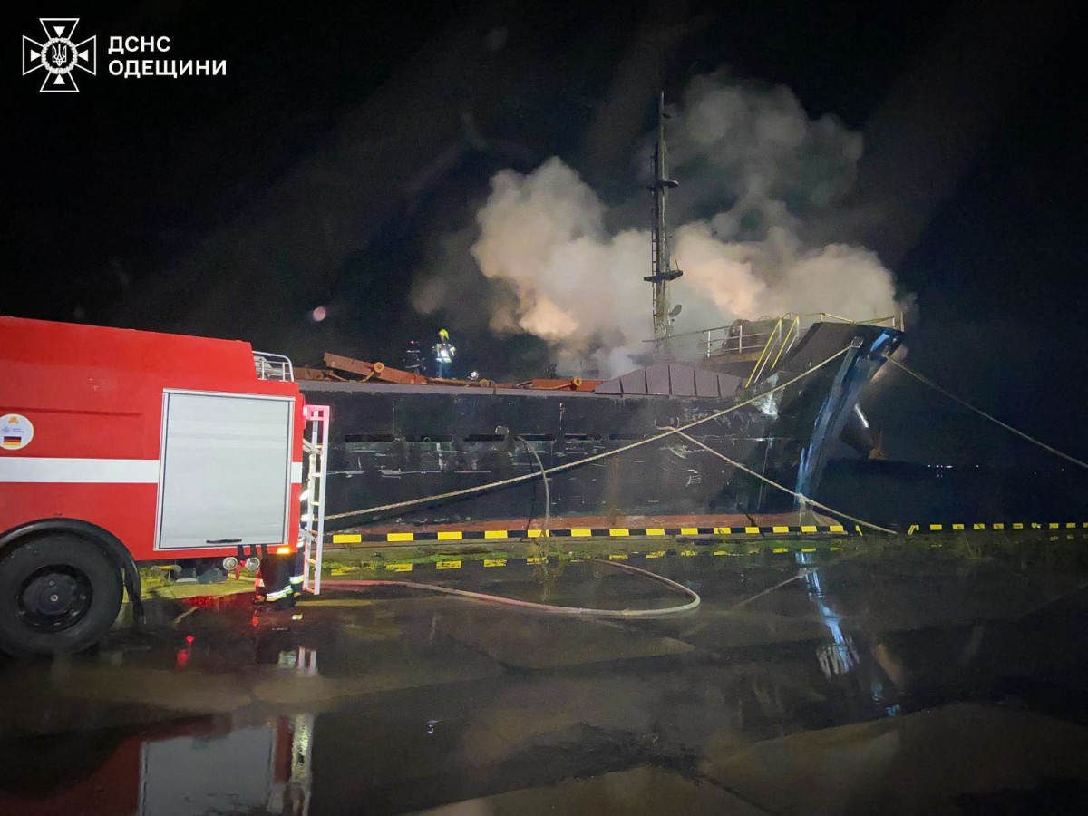 Tràn dầu hướng dương ở Odessa sau không kích, chim chết la liệt dọc bờ biển - Ảnh 1.