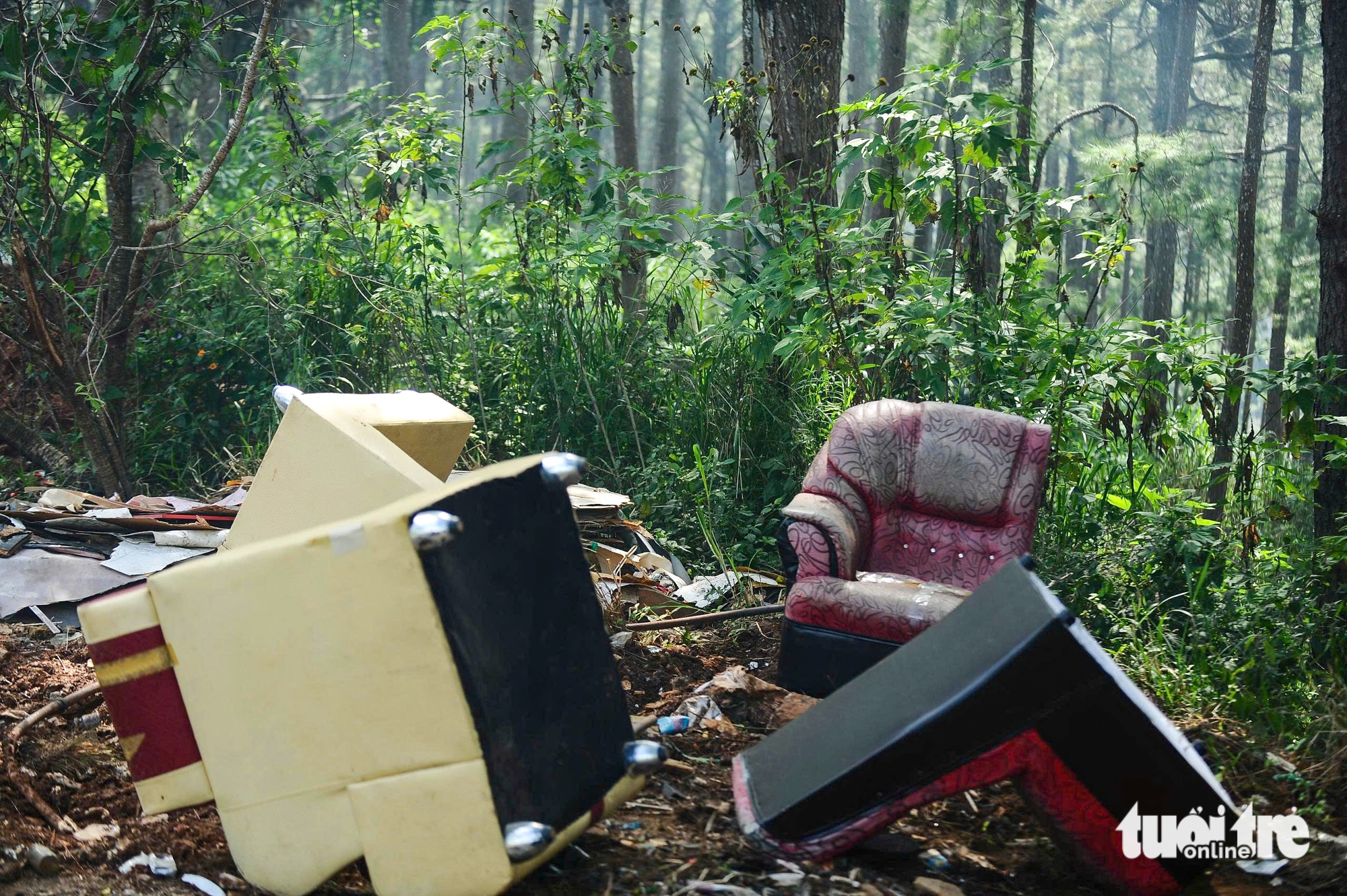 Flood debris overwhelms mountain pass leading to Vietnam’s Da Lat - Ảnh 3.