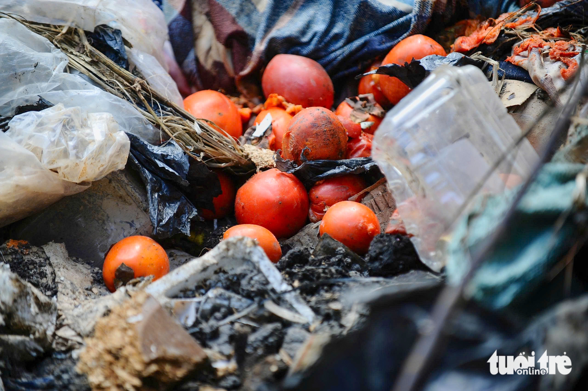 Flood debris overwhelms mountain pass leading to Vietnam’s Da Lat - Ảnh 4.
