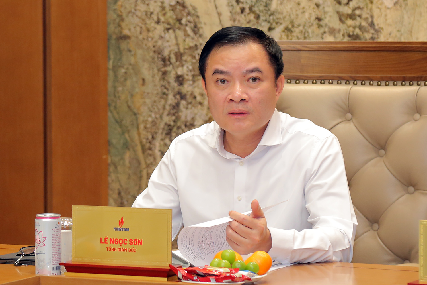 Lê Ngọc Sơn - Ảnh 1.