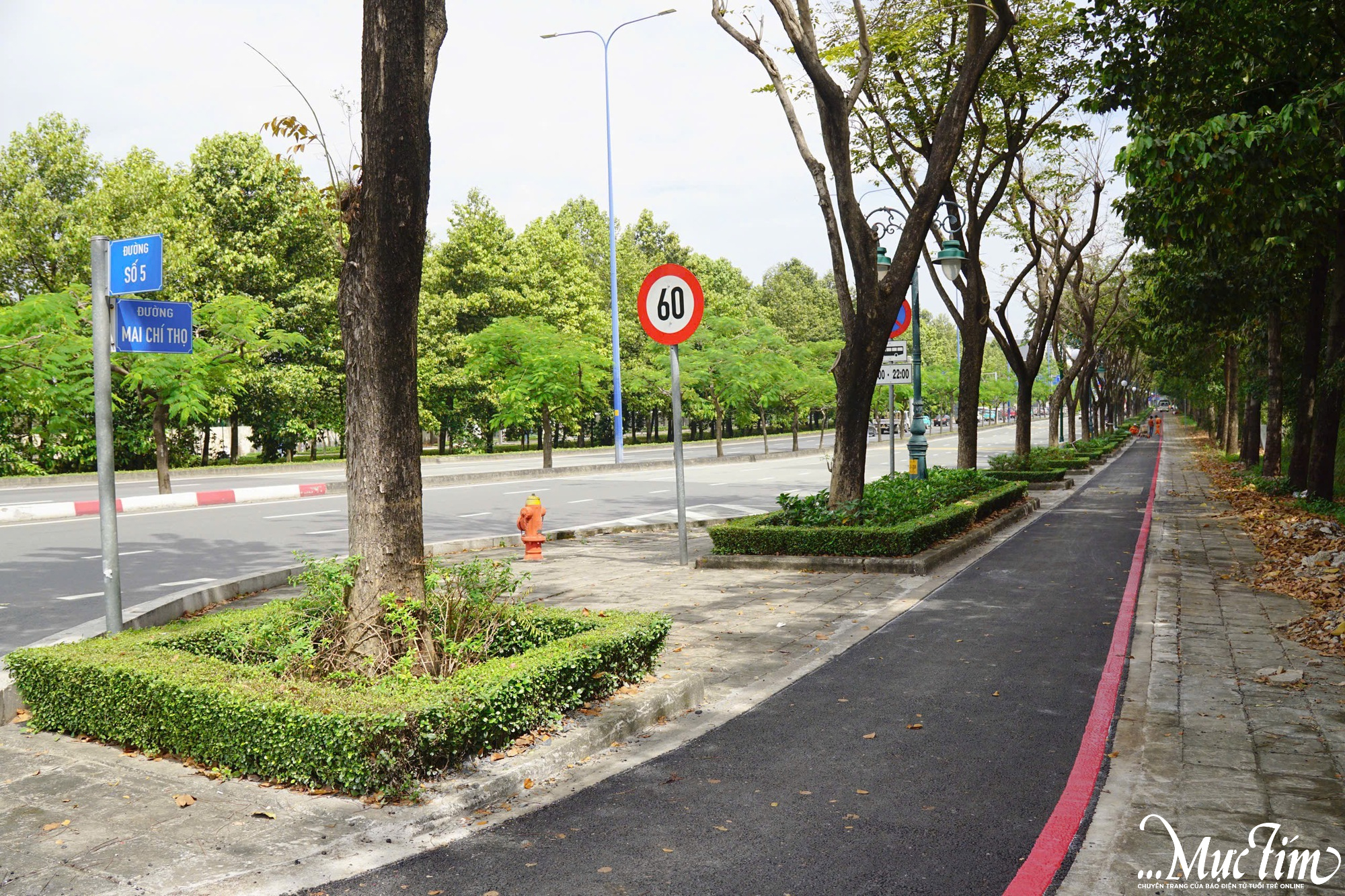 Làn đường cho xe đạp đầu tiên tại TP.HCM nằm ở đâu, đặc điểm thế nào? - Ảnh 1.