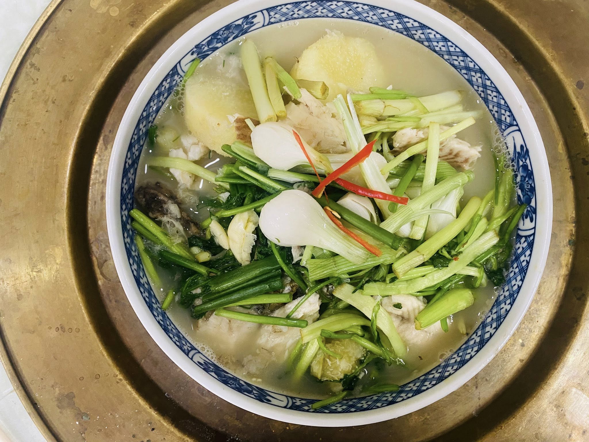 cá quả củ từ - Ảnh 1.