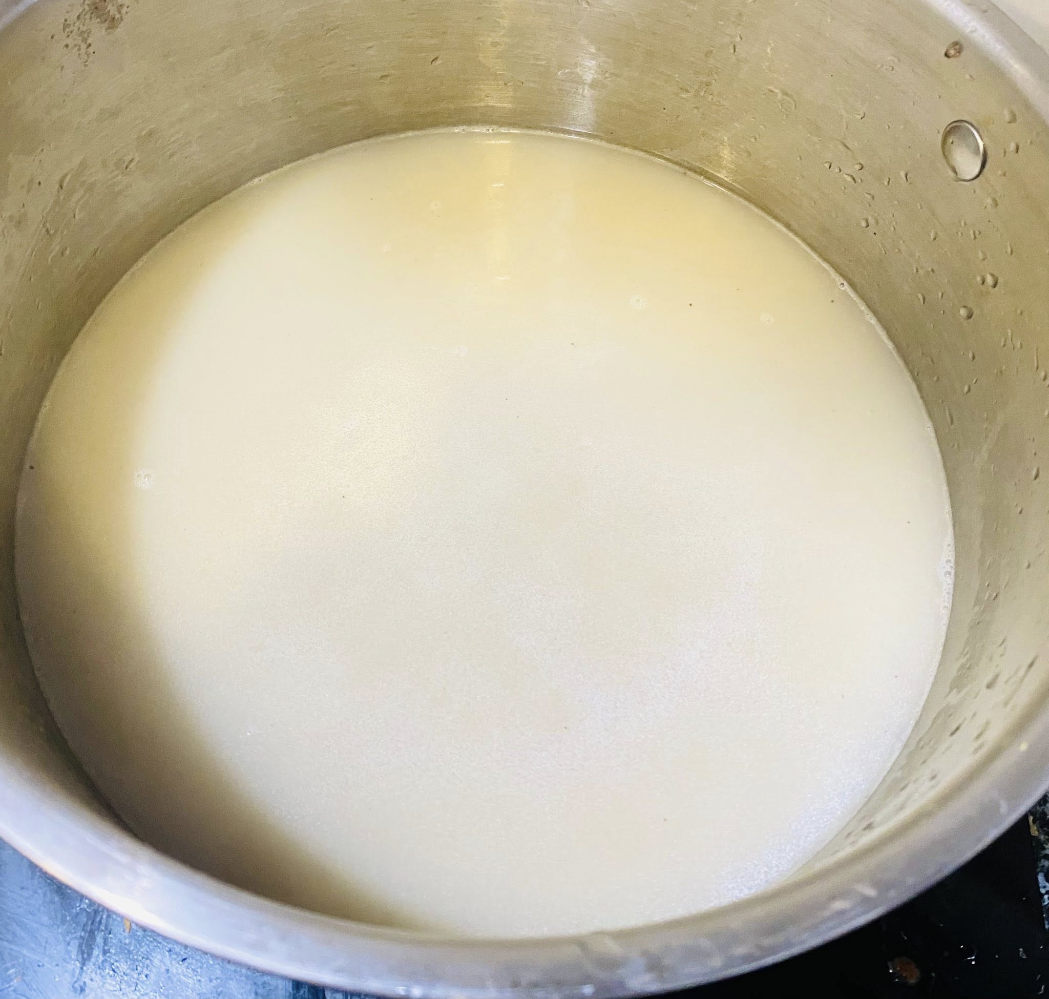 cá quả củ từ - Ảnh 6.