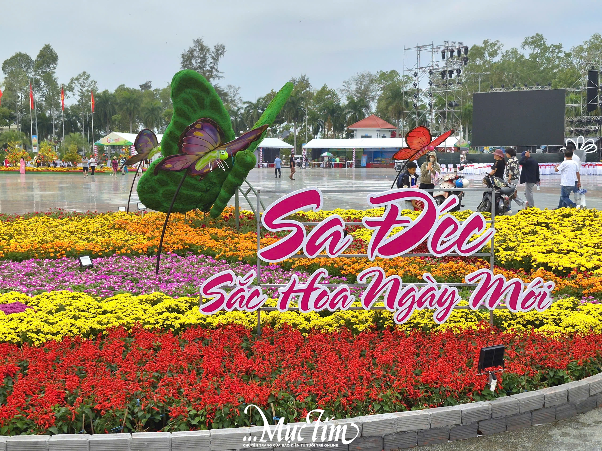 Cận cảnh không khí Festival hoa kiểng Sa Đéc lần thứ II trong ngày khai mạc- Ảnh 1.