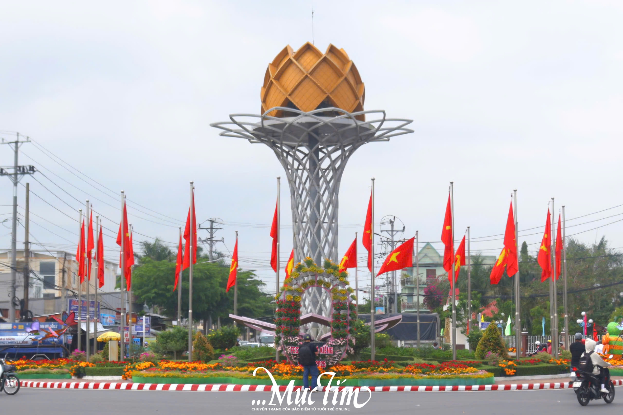 Cận cảnh không khí Festival hoa kiểng Sa Đéc lần thứ II trong ngày khai mạc- Ảnh 7.