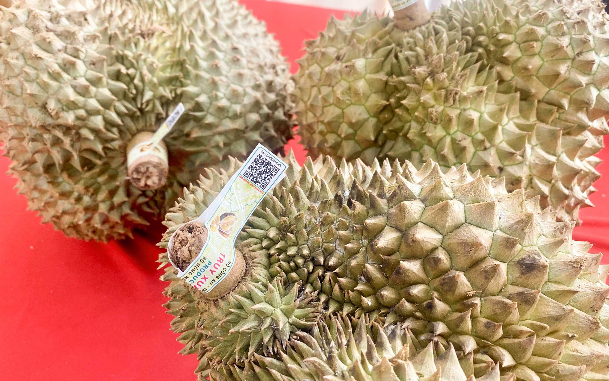 Vietnam closes in on 50% of China’s durian market, Thailand faces growing threat  - Ảnh 1.