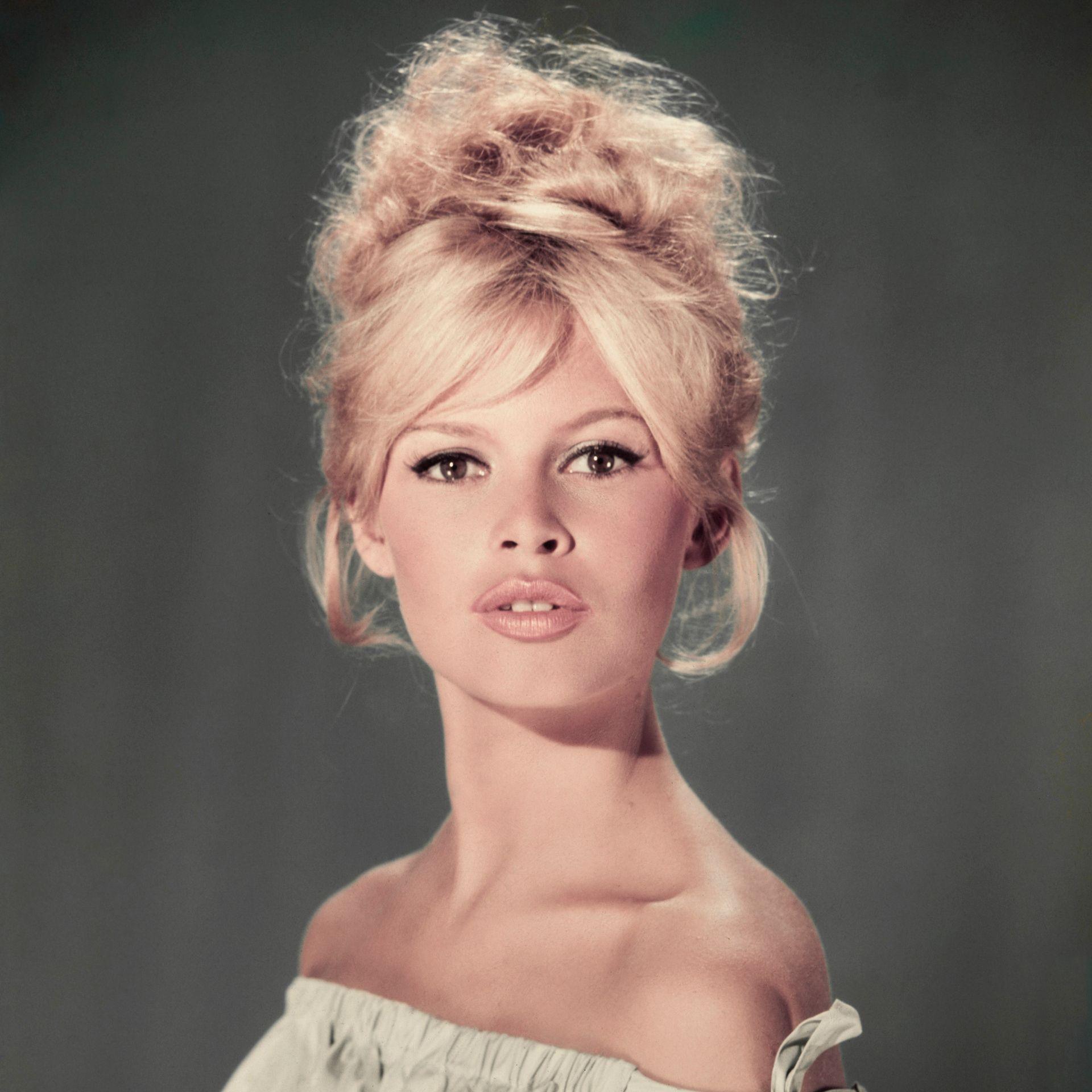 Brigitte Bardot qua đời - Ảnh 3.