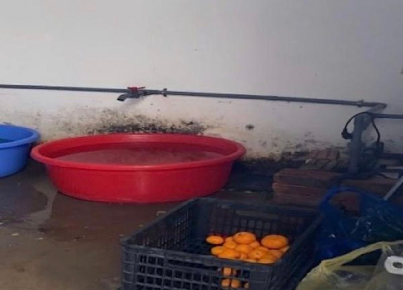 an toàn thực phẩm - Ảnh 1.