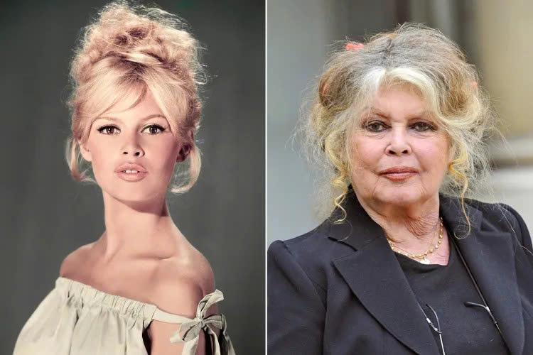 Brigitte Bardot - Ảnh 1.