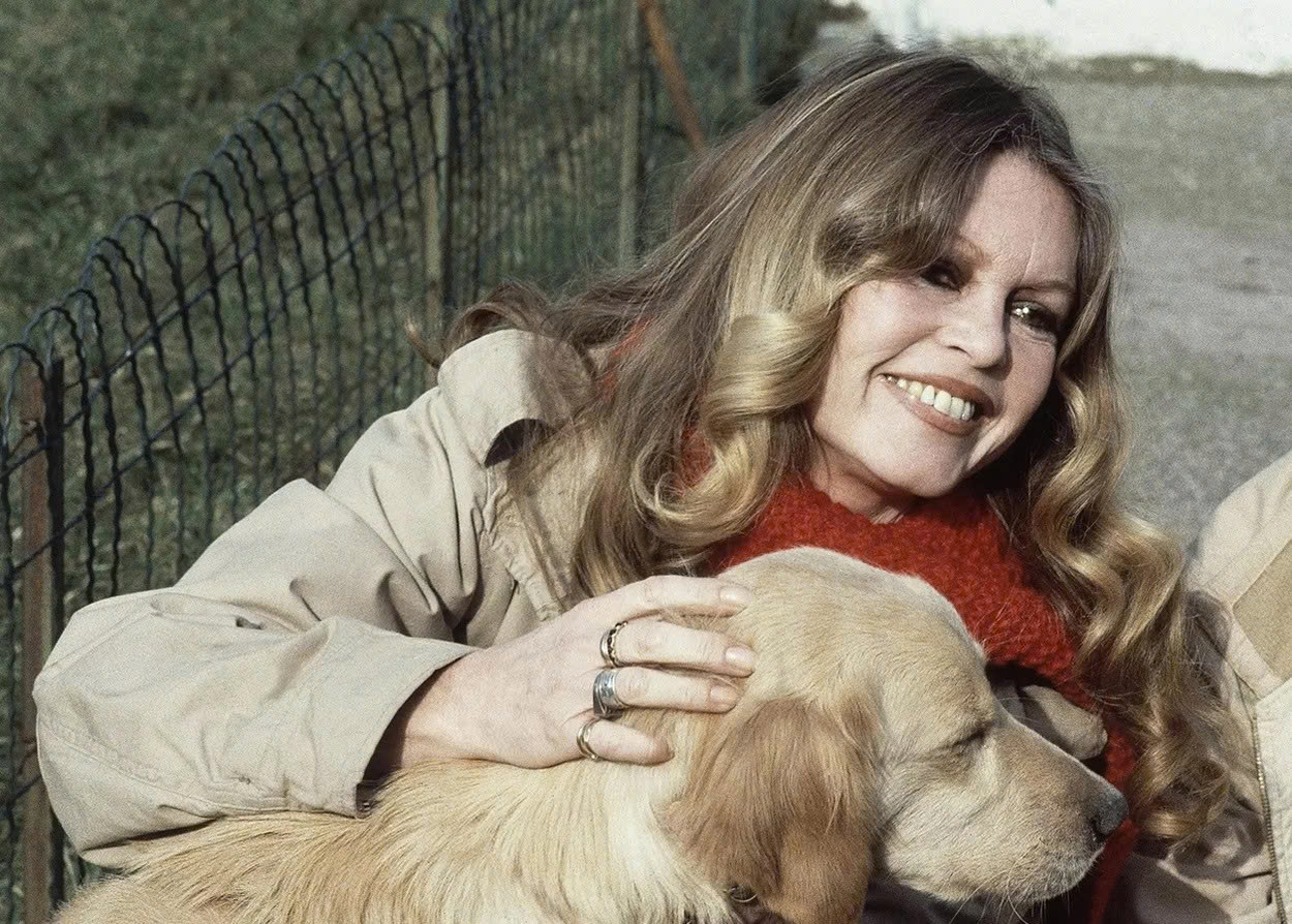 Vĩnh biệt Brigitte Bardot, người từng là biểu tượng sắc đẹp của cả thế giới - Ảnh 6.