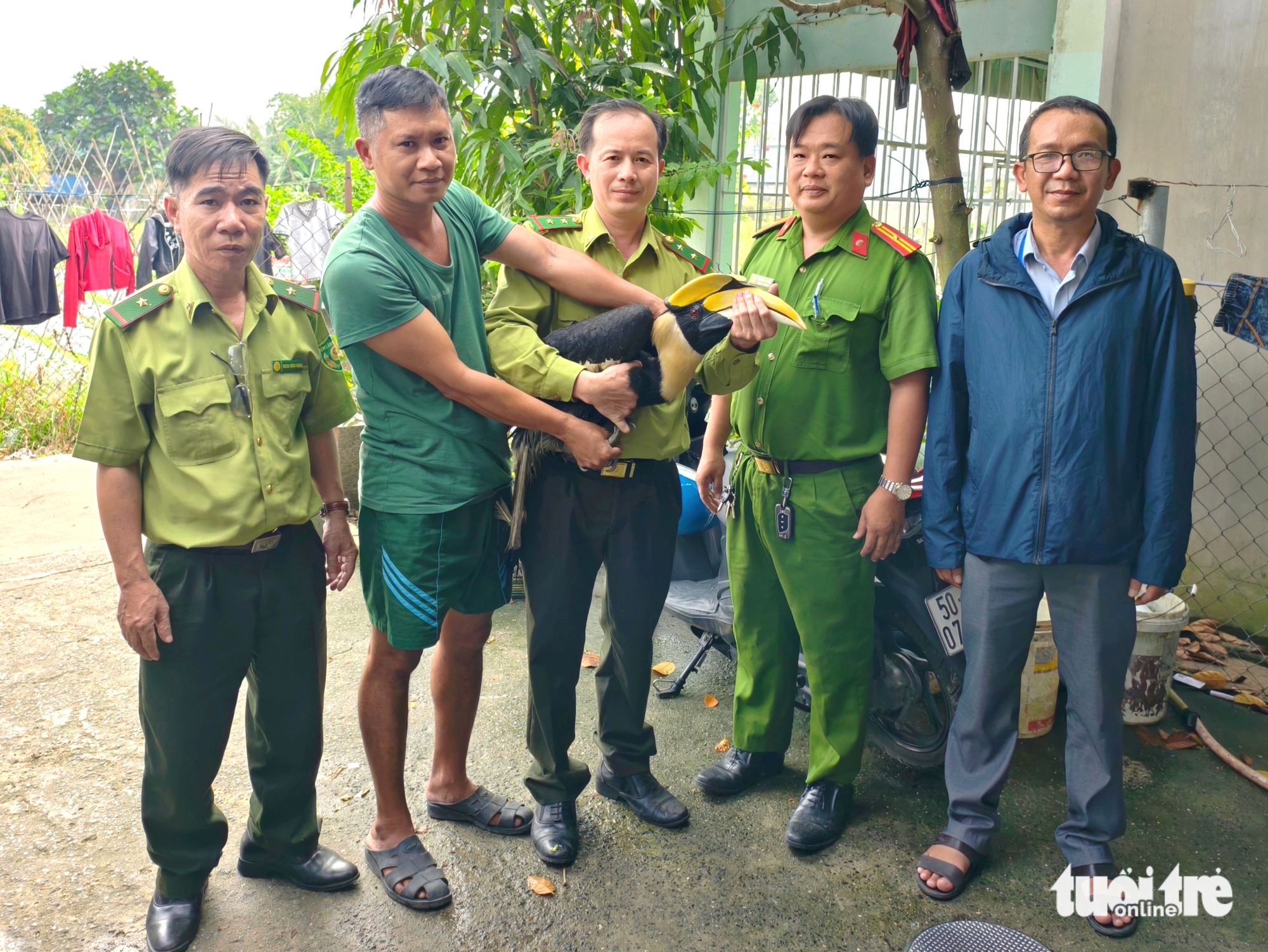Khen thưởng đột xuất hai người dân tự nguyện giao chim hồng hoàng quý hiếm ở Xuân Thới Sơn - Ảnh 3.