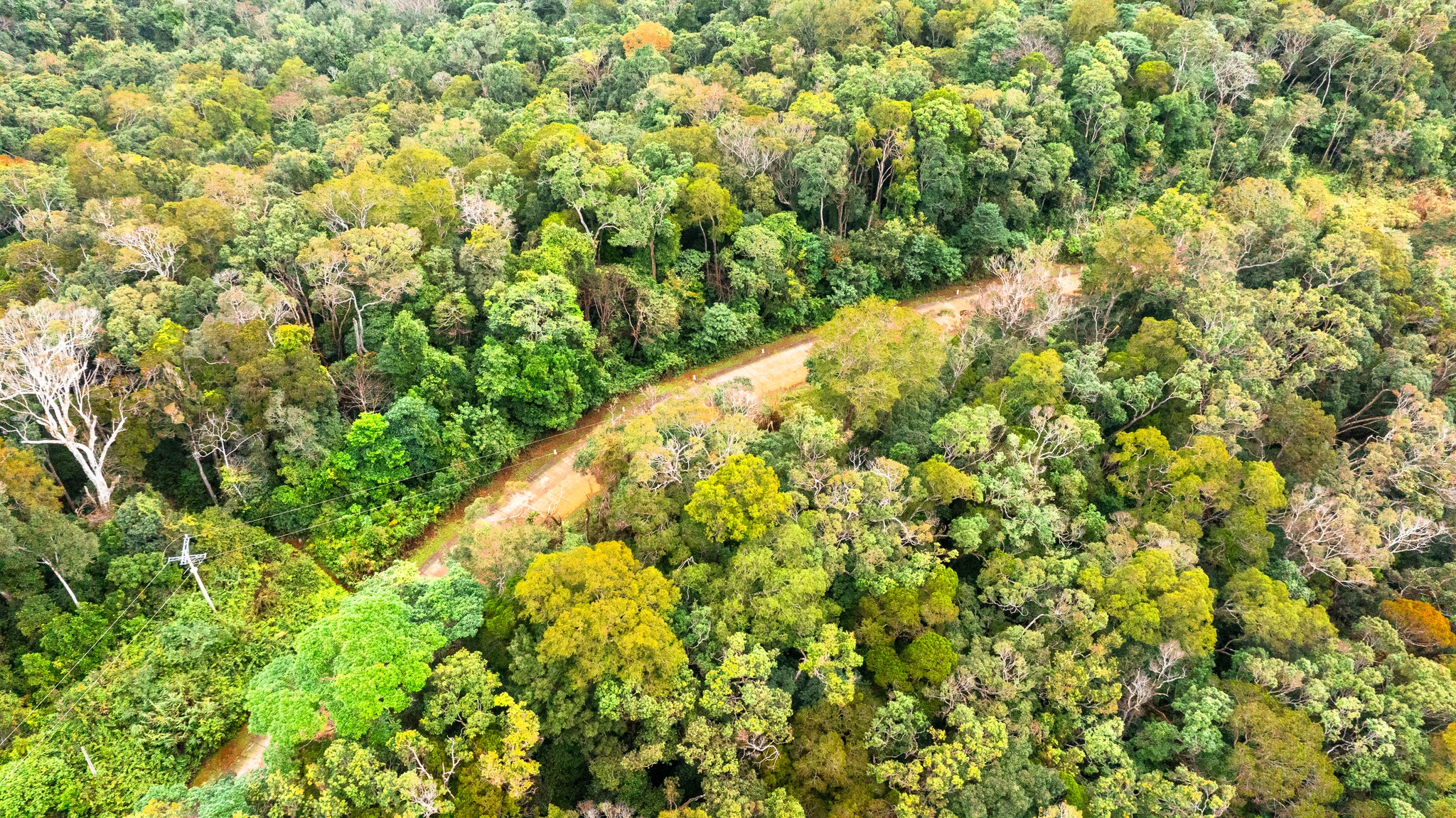 Măng Đen - Ảnh 18.