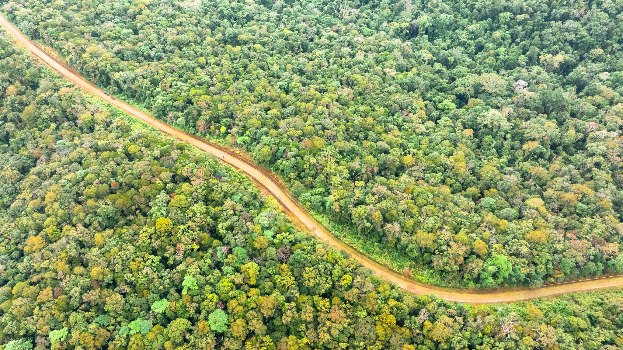 Măng Đen - Ảnh 15.