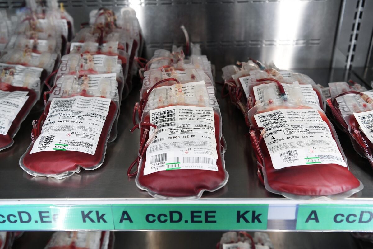 nhóm máu - Ảnh 1.