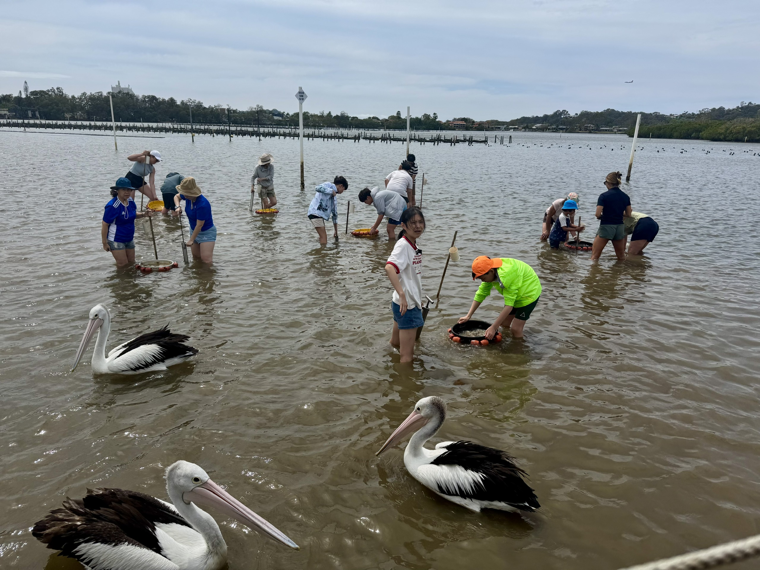 Gold Coast - Ảnh 4.