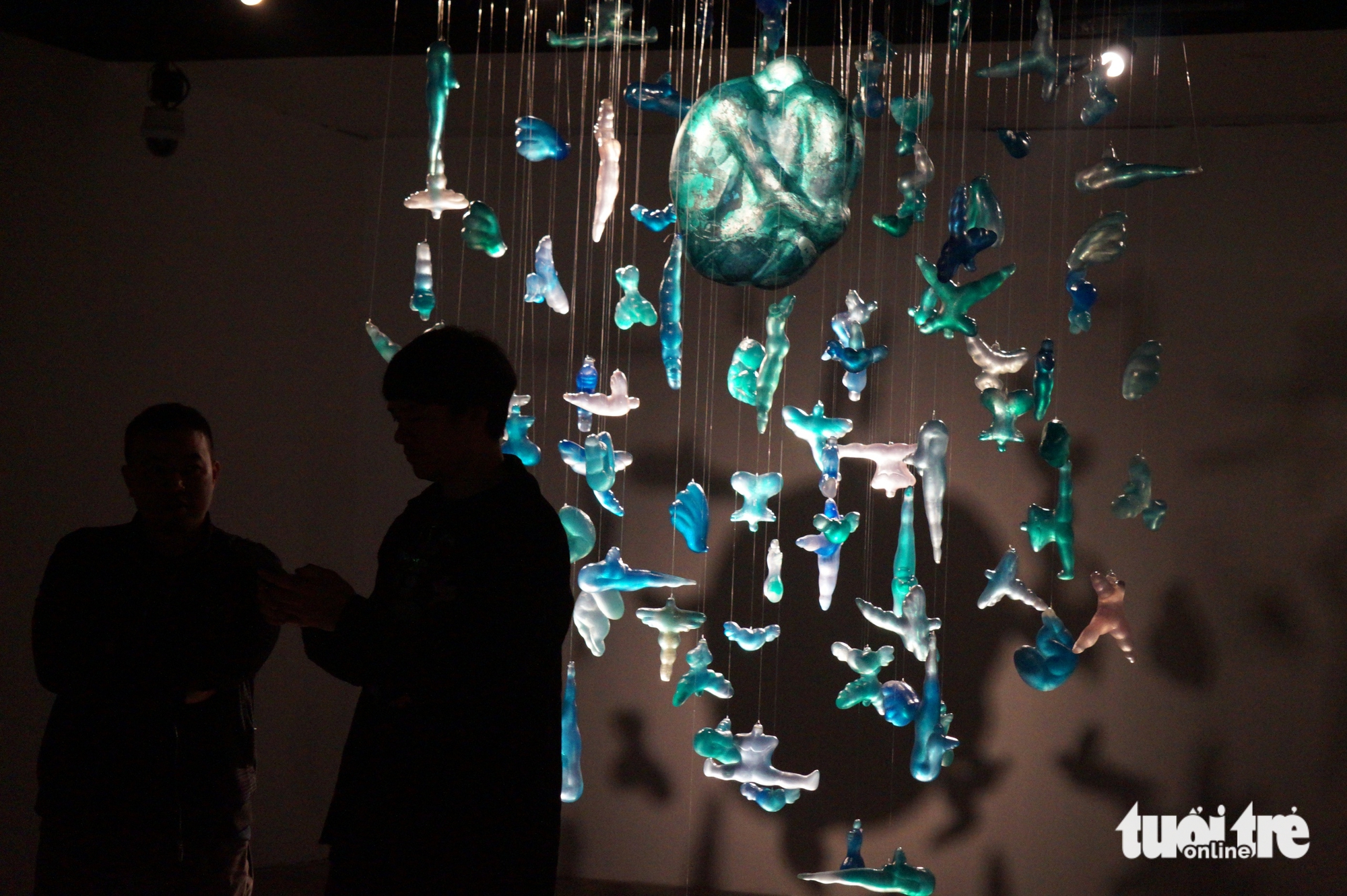 bèo hoa dâu - Ảnh 7.