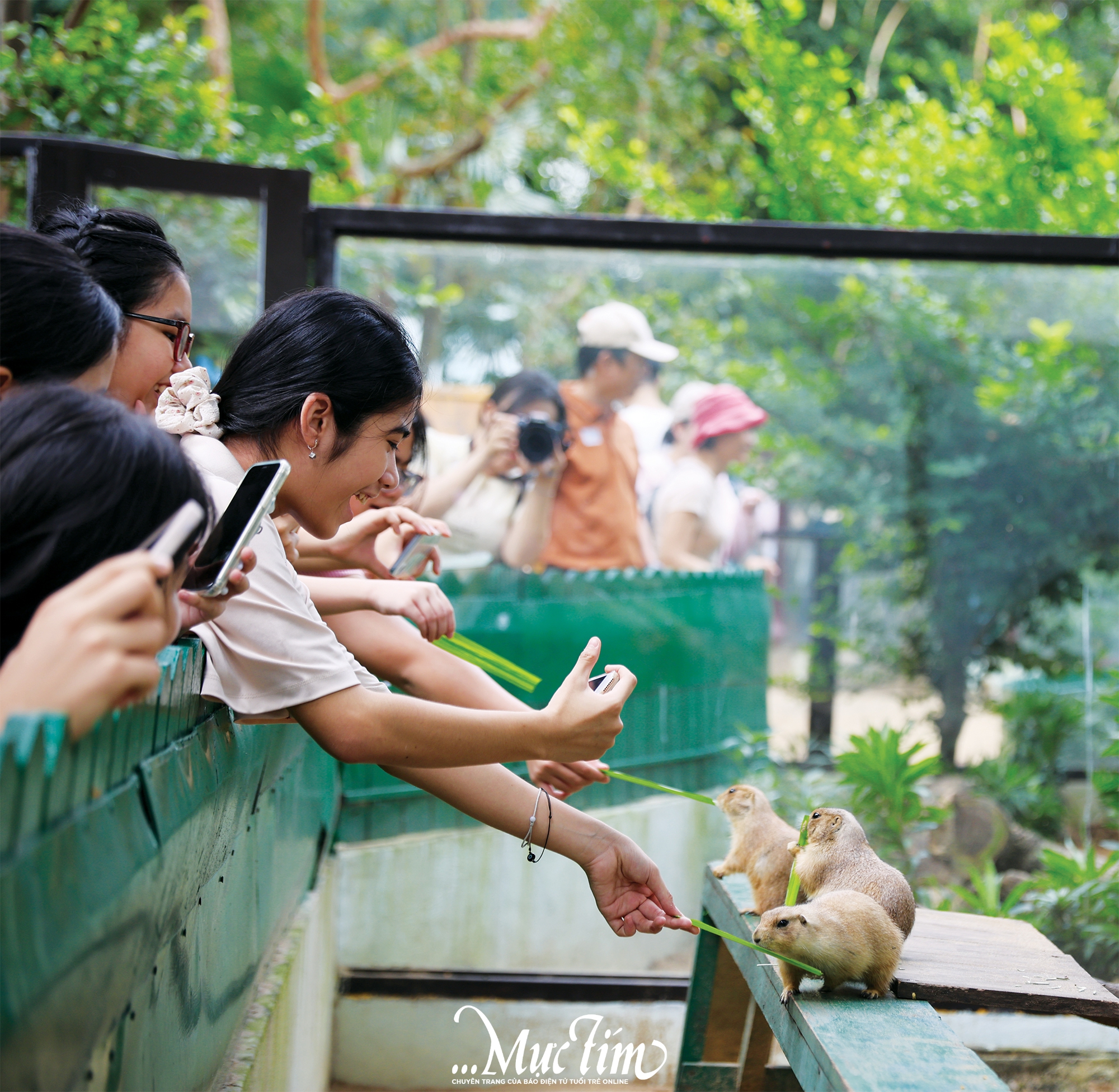 Giải mã "Một sức khỏe" cùng các đại sứ khoa học tại Thảo cầm viên - Ảnh 7.