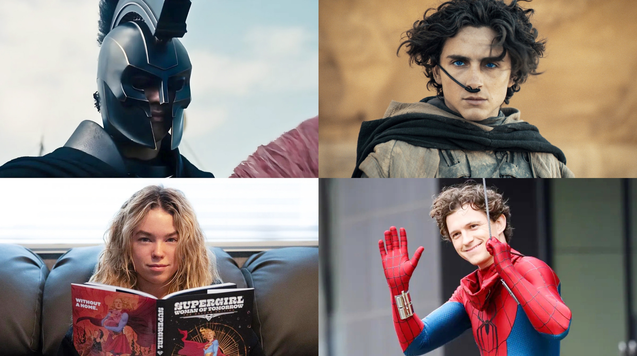  Spider-Man - Ảnh 1.