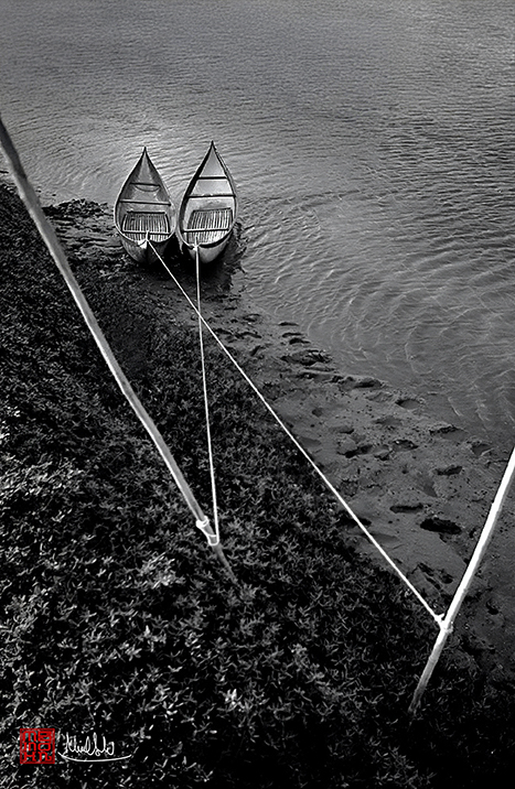 - Ảnh 10. Bùi Minh Sơn - Ảnh 9.